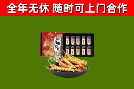 潍坊回收冬虫夏草价格